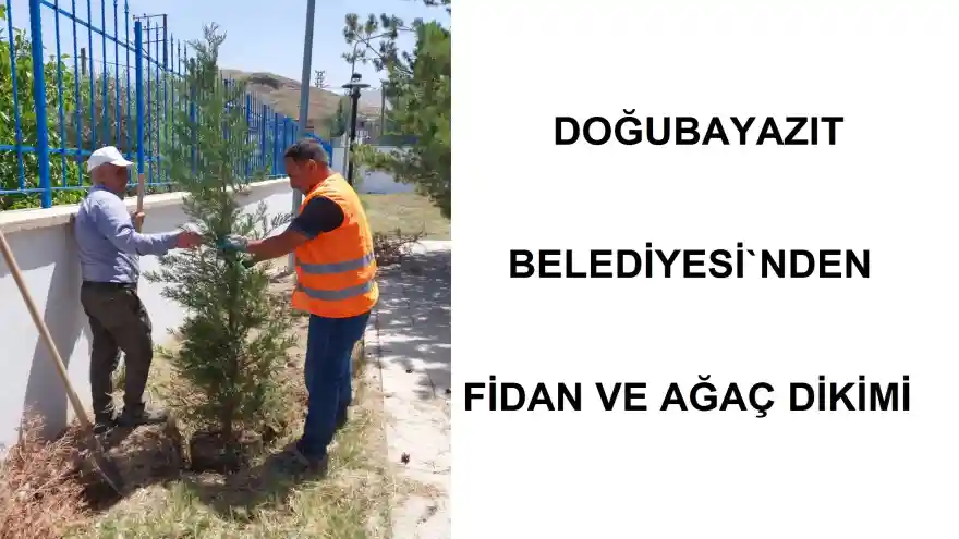 DOĞUBAYAZIT BELEDİYESİ`NDEN FİDAN VE AĞAÇ DİKİMİ