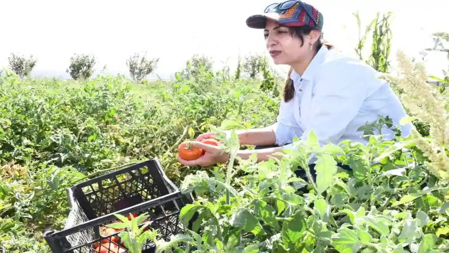 Doğubayazıt Belediyesinden Çiftçilere Destek