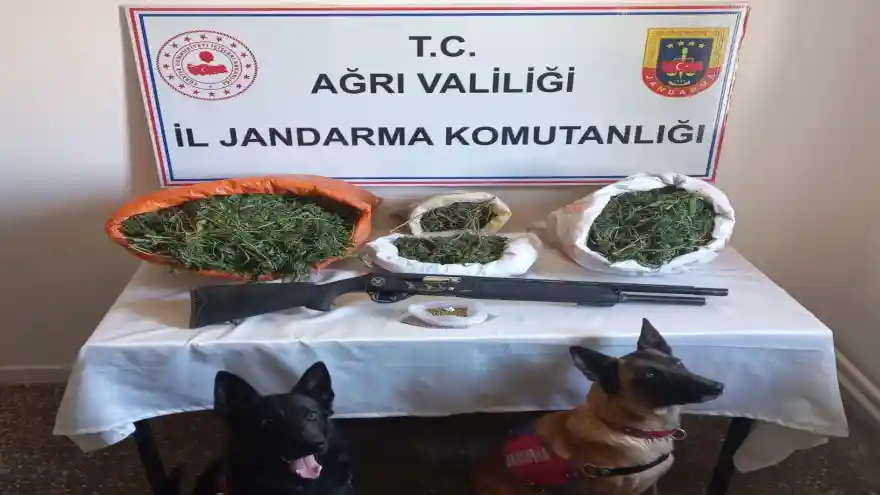 Ağrı'da düzenlenen operasyonlarda uyuşturucu ele geçirildi