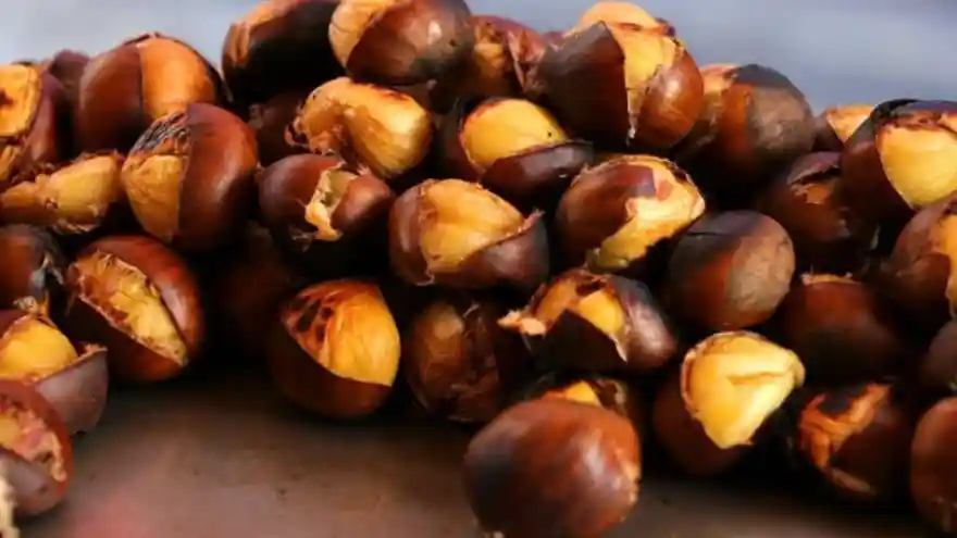 KESTANE YEMEK LÜKS OLDU