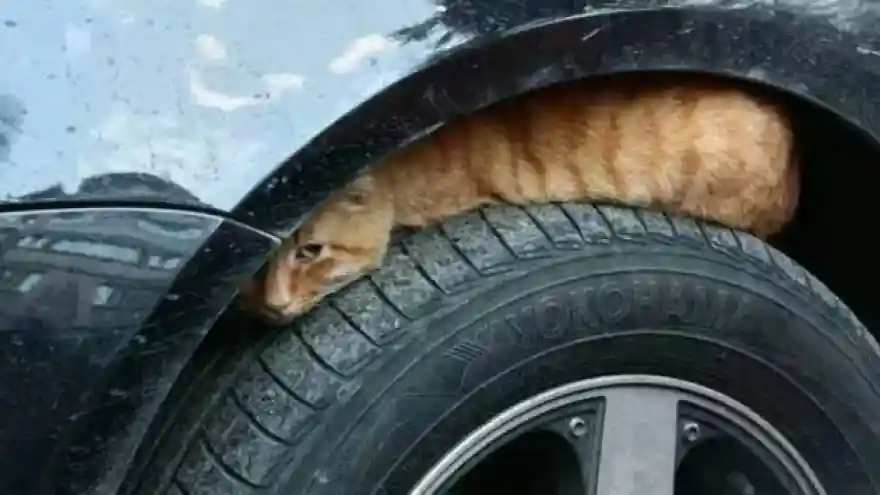 Aracınızı Çalıştırmadan önce dikkat edin