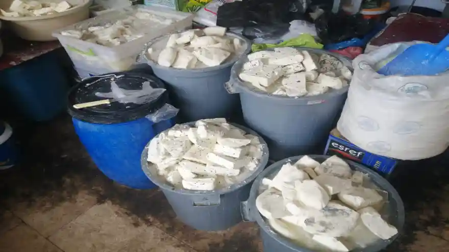 Peynir Fiyatı Et fiyatını geçti