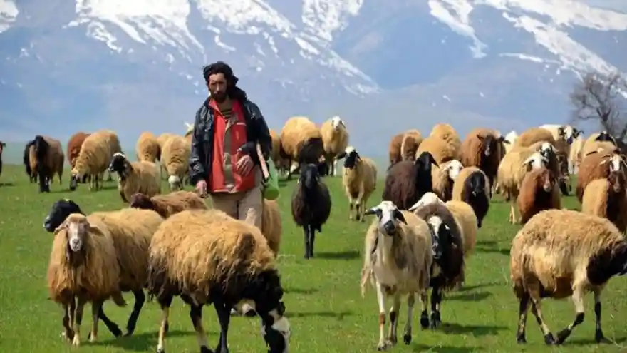 Tarım ve Orman Bakanlığı, yüzde 50 hibe desteği ile Kırsal Kalkınma Desteklemesi sağlayacak