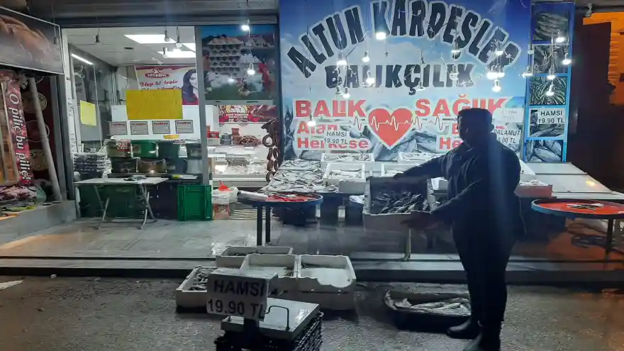 HAMSİNİN FİYATI 20 LİRAYA KADAR DÜŞTÜ