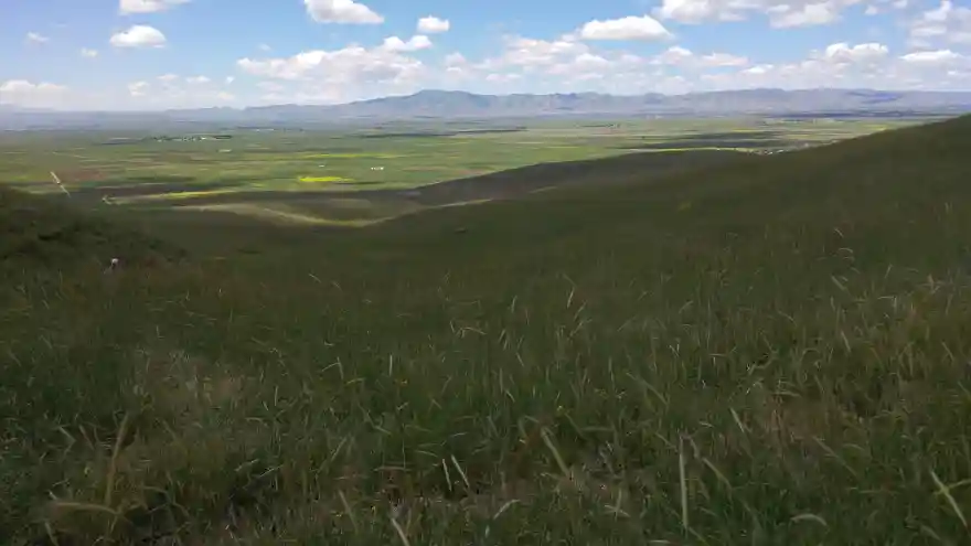 AĞRI'DA YASAKLI MERA VE YAYLA KALMADI