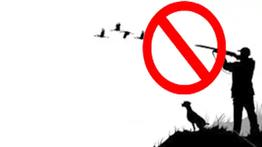 AV YASAĞI İLAN EDİLDİ