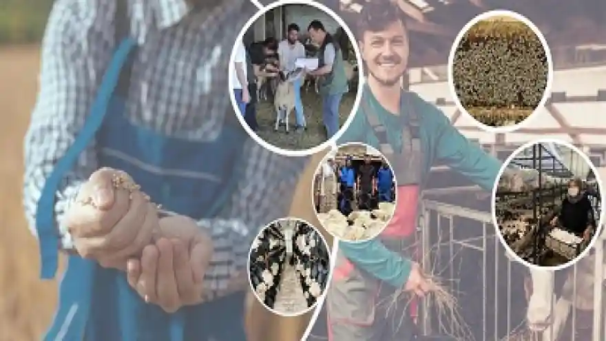 Köyde Yaşamak İsteyene 250 bin TL Verilecek!