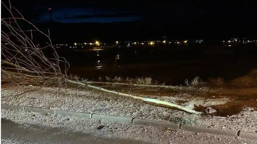 DOĞUBAYAZIT'TA DİKİLEN AĞAÇLARA ZARAR VERDİLER