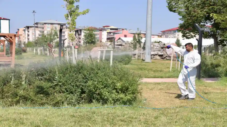 Ağrı Belediyesi Kent Genelinde İlaçlama Çalışması Yapıyor