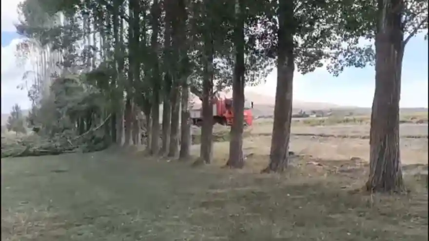 Ağrı'da 200 ağaç kesildi