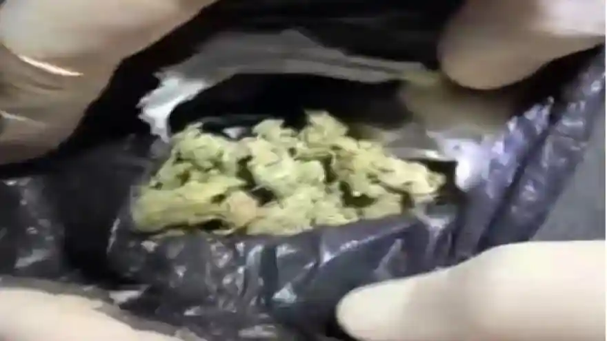 Ağrı’da uyuşturucu operasyonu: 9 tutuklama