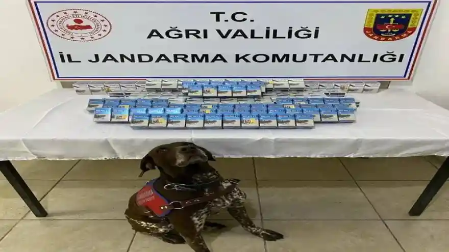 Ağrı’da gümrük kaçağı sigara yakalandı